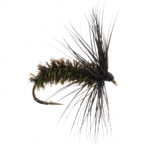 The Essential Fly Black & Peacock Spider Fishing Fly